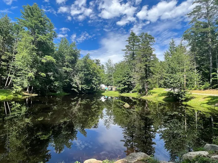 Spacious Skies Campgrounds - Seven Maples Picture 9
