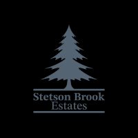 Stetson Brook Estates ico