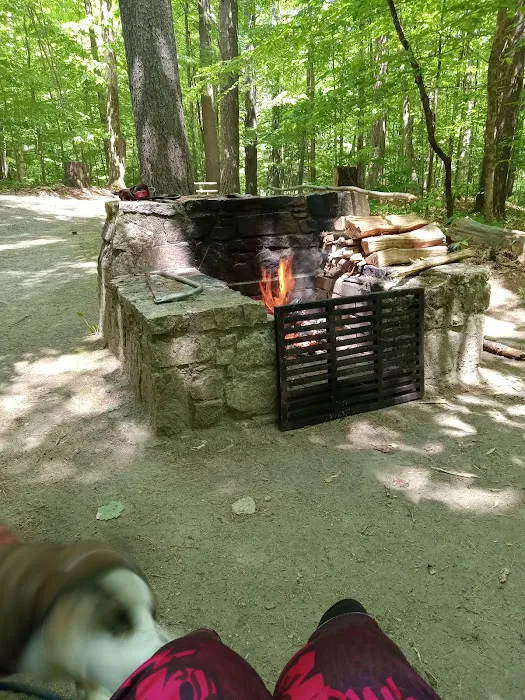Mount Ascutney State Park Campground Picture 1
