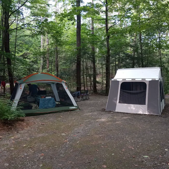 Mount Ascutney State Park Campground Picture 8
