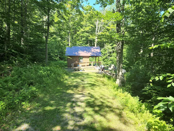 Mount Ascutney State Park Campground Picture 9