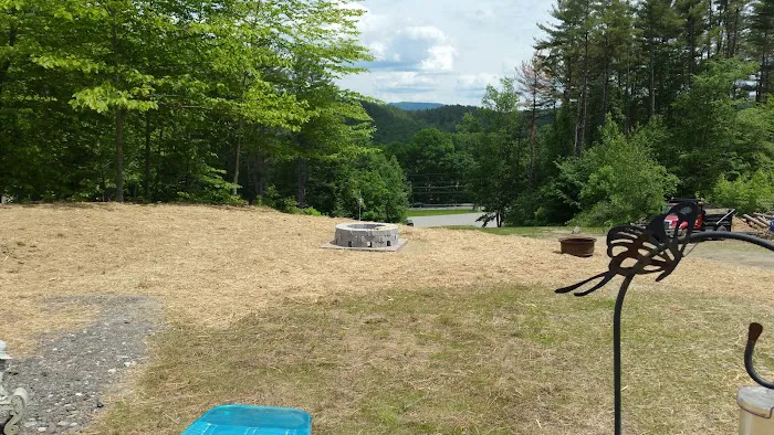 Running Bear Camping Area Picture 1