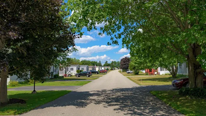 Town & Country Village Picture 2