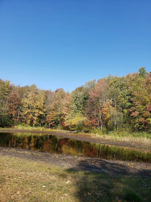 Hickory Ridge Family Campground Picture 6