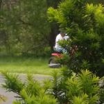 Transit Cayuga Mobile Homes