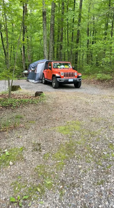 West Thompson Lake Campground Picture 4