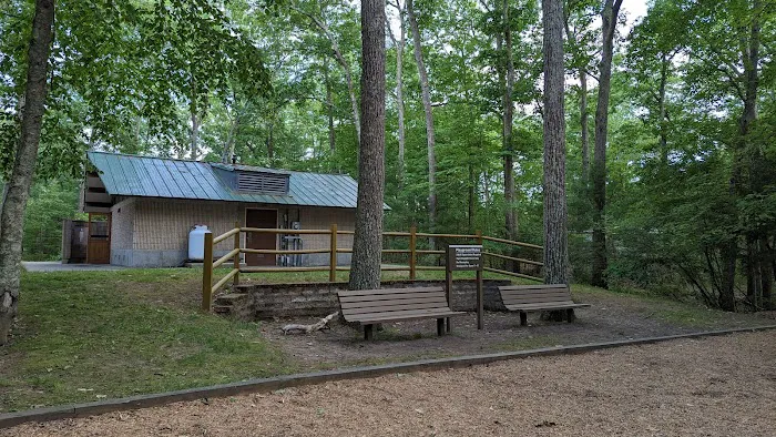 West Thompson Lake Campground Picture 2