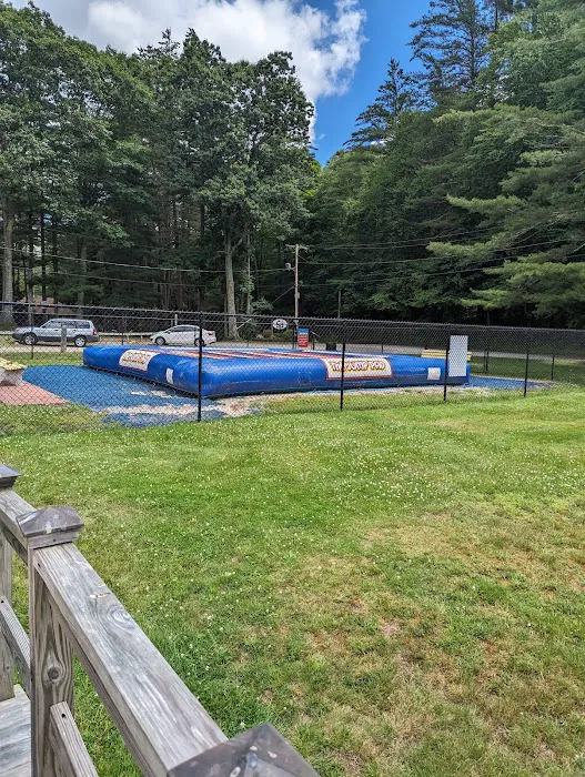 Partridge Hollow Campground Picture 1