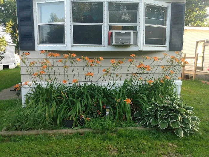 Dorwood Mobile Home Community Picture 4