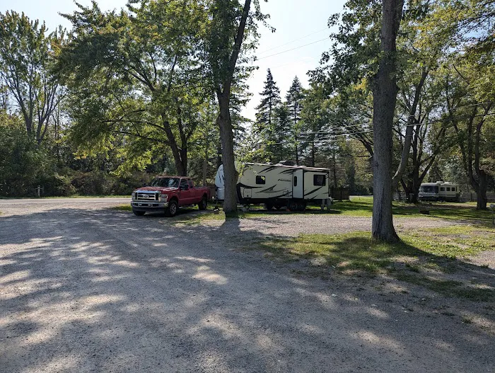 Willow Beach RV Park Picture 7