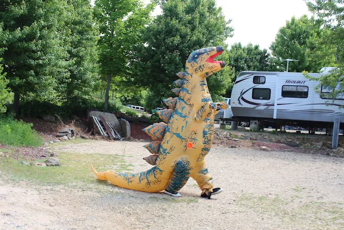 Village Green Family Campground Picture 4