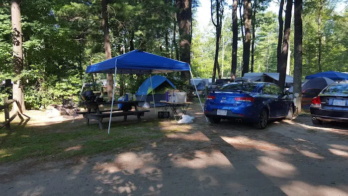Sunsetview Farm Camping Area Picture 2