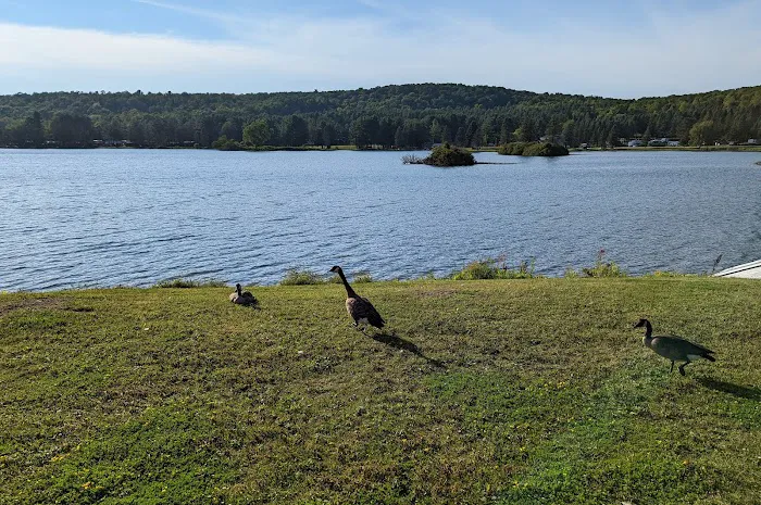 Allegany Mountain Resort at Rainbow Lake Picture 9