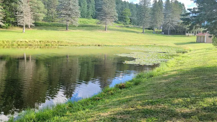 Allegany Mountain Resort at Rainbow Lake Picture 7