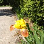 Field & Stream RV Park