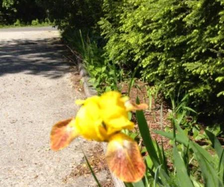 Field & Stream RV Park