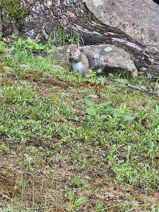 All Seasons Campground Picture 9
