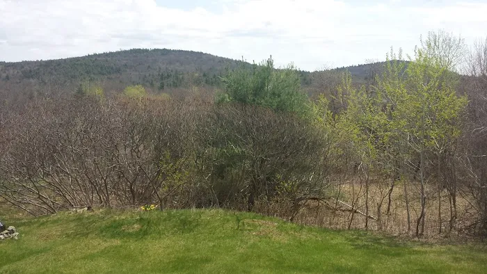 All Seasons Campground Picture 10