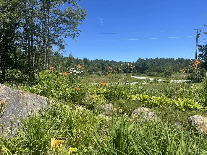 Rocky Valley RV Resort Picture 8
