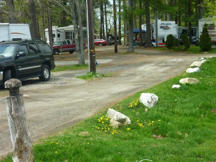 Berry's Grove Campground Picture 1