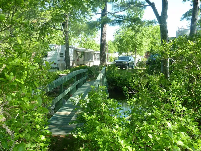 Berry's Grove Campground Picture 10