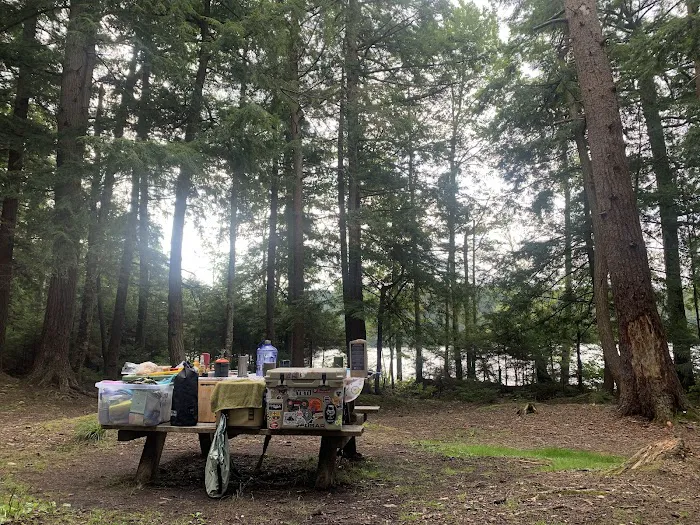 Alger Island Campground Picture 2