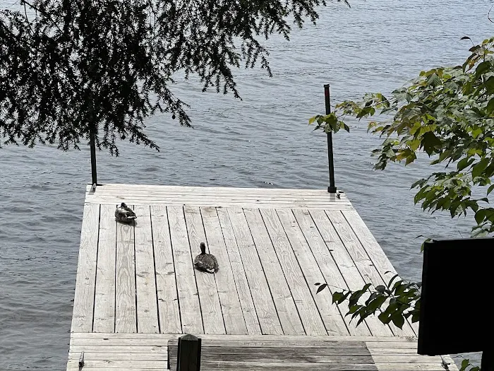 Alger Island Campground Picture 4