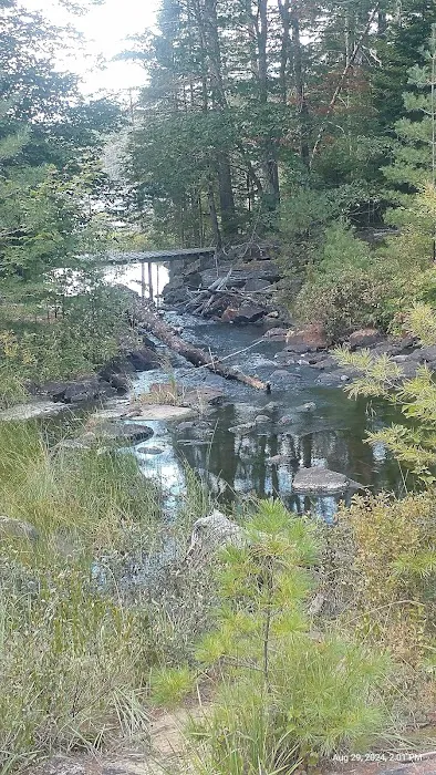 Limekilm campground nature trial Picture 7