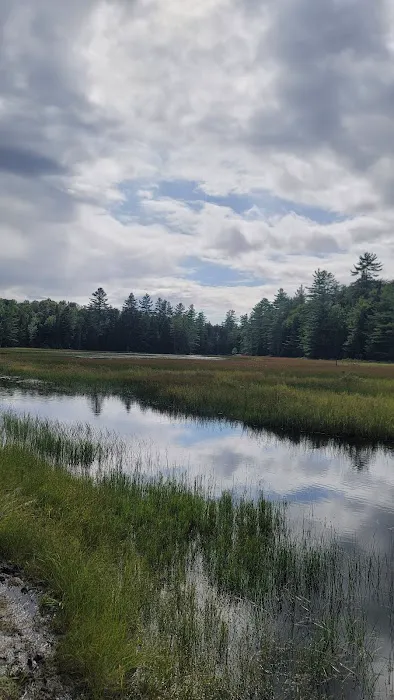 Limekilm campground nature trial Picture 2