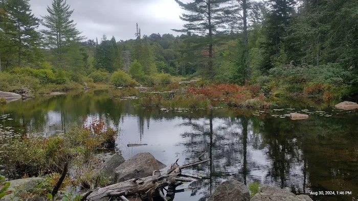 Limekilm campground nature trial Picture 6