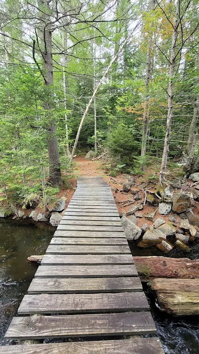 Limekilm campground nature trial Picture 5