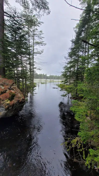 Limekilm campground nature trial Picture 1