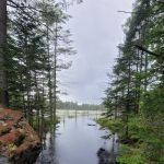 Limekilm campground nature trial