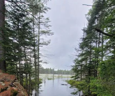 Limekilm campground nature trial