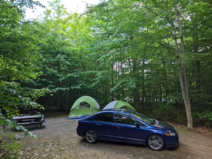 Limekiln State Campground Picture 4