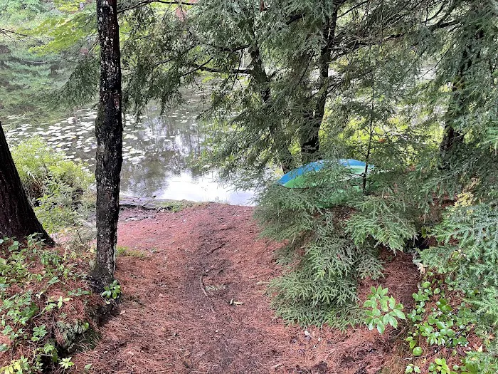 Limekiln State Campground Picture 10