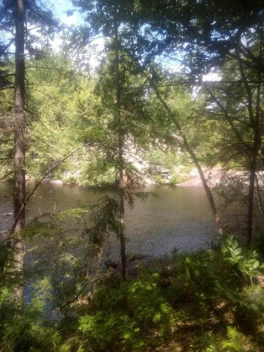 Soft Maple Campground Picture 10