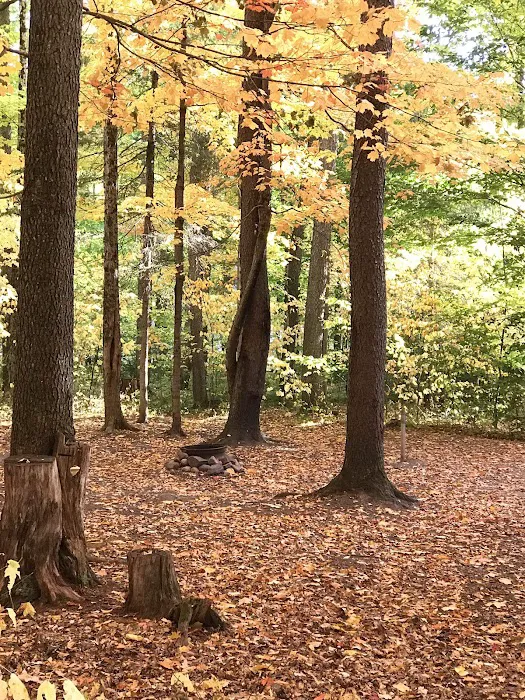 Soft Maple Campground Picture 7