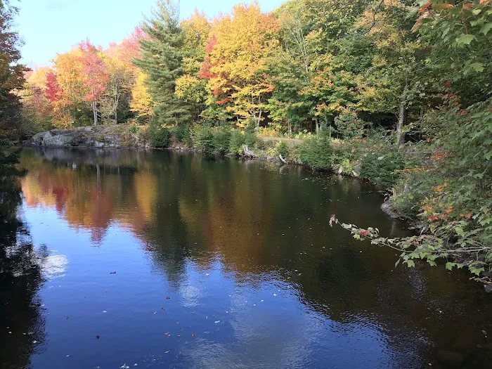 Soft Maple Campground Picture 6