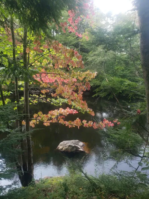 Soft Maple Campground Picture 9