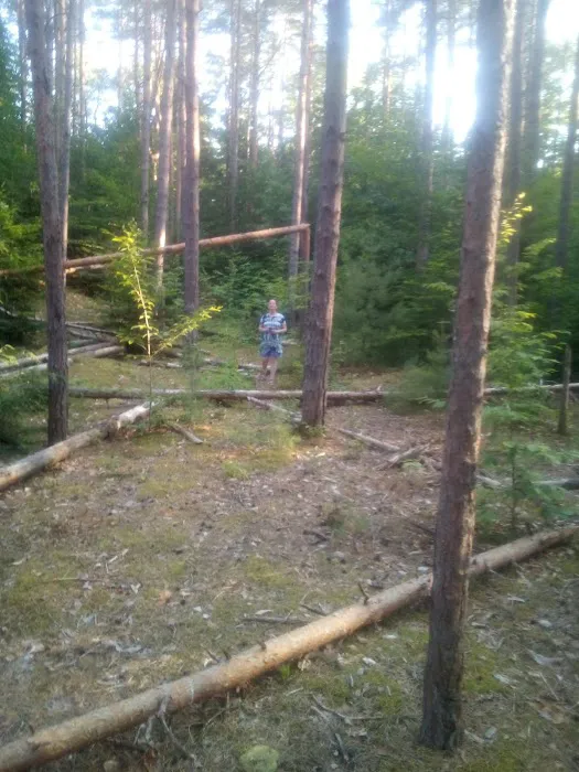 Soft Maple Campground Picture 1