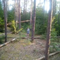 Soft Maple Campground ico