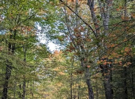 Eighth Lake Campground