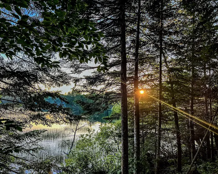 Brown Tract Pond Campground Picture 6