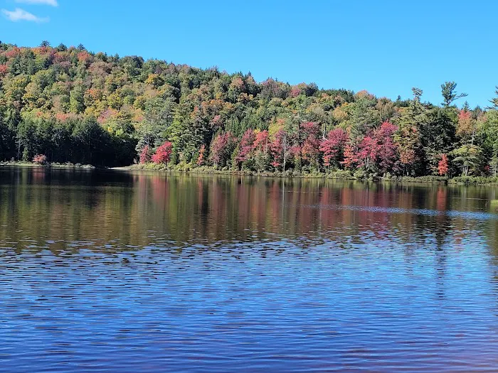 Brown Tract Pond Campground Picture 4