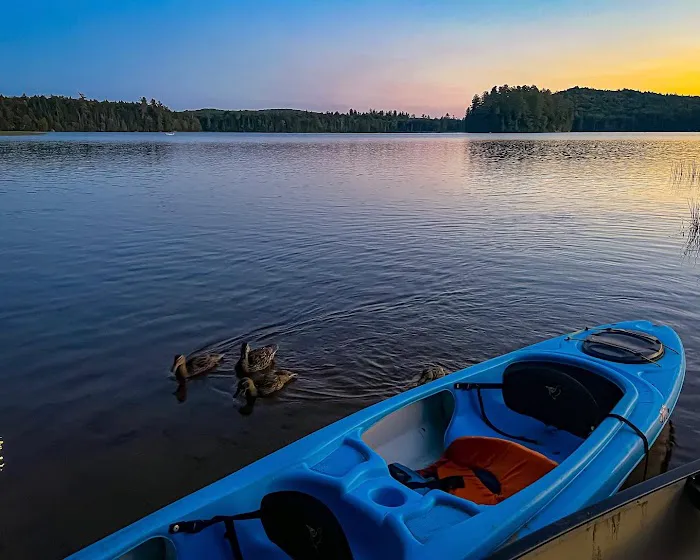 Brown Tract Pond Campground Picture 2