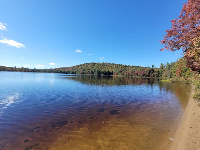 Brown Tract Pond Campground Picture 1