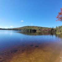 Brown Tract Pond Campground ico
