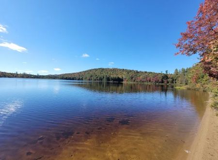 Brown Tract Pond Campground