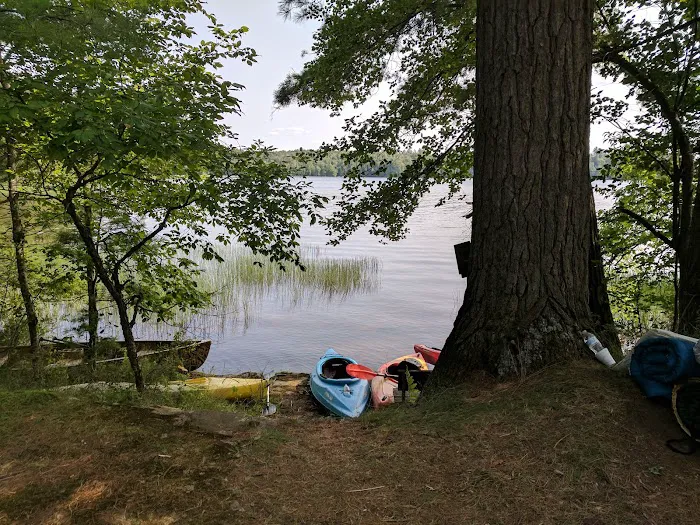 Tioga Point Campground Picture 9